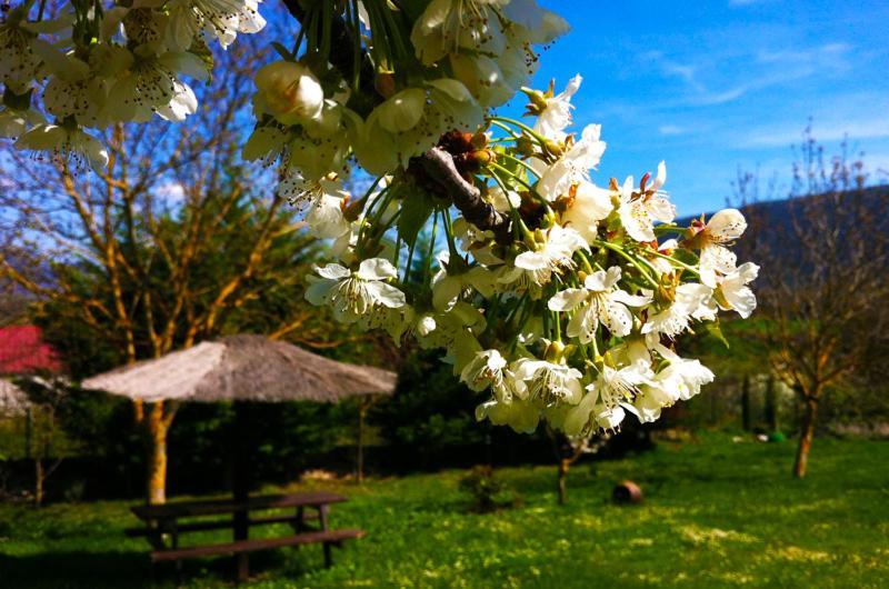 Arte Y Natura Valdivielso Quintana de Valdivielso Buitenkant foto