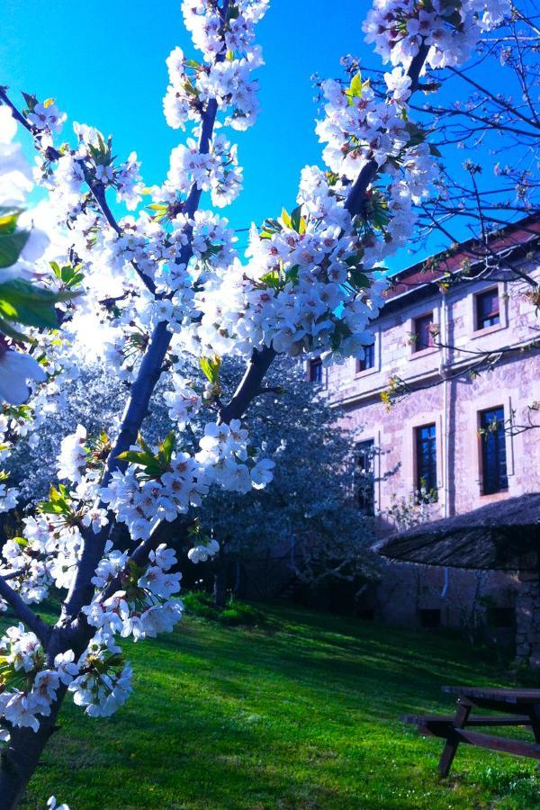 Arte Y Natura Valdivielso Quintana de Valdivielso Buitenkant foto